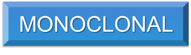 Monoclonal