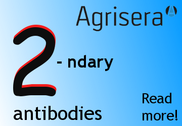 Agrisera high quality secondary antibodies