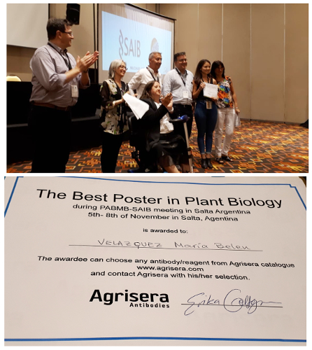 Agrisera Best Poster Award on SAIB 2019 Argentina
