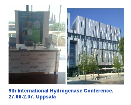 Agrisera exhibitingduring 9th Hydrogenase conference