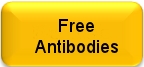 Free Arabidopsis and Poplar antibodies for testing Free Arabidopsis and Poplar antibodies for testing