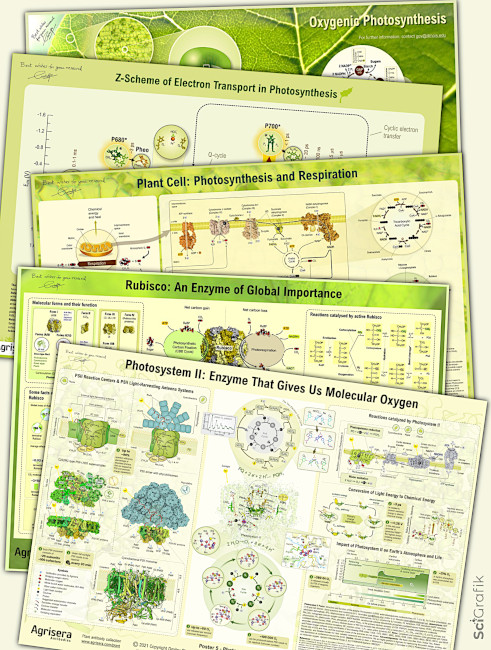 Agrisera's free educational posters