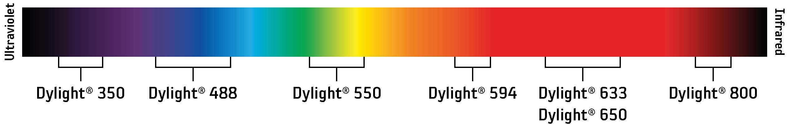 Light spectrum Dylight