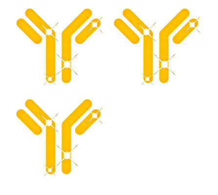 Agrisera Golden Antibody Hunt 2022