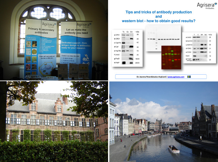 Peptide signalling meeting in Ghent 2015
