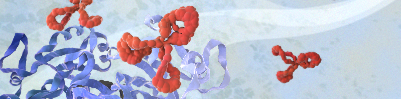 Protein & antibodies Protein and antibody image