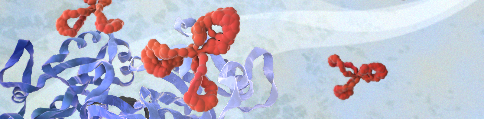 Protein and antibody image