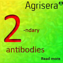 Agrisera secondary antibodies