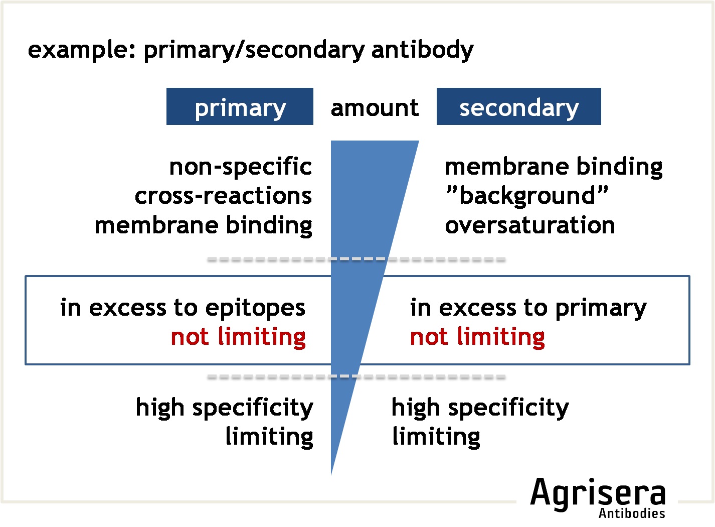 optimization of primary and secondary antibody amount
