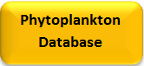 Database on protein contents, pigment contents and photophysiology of phytoplankton