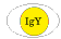 IgyEgg pic