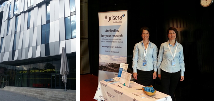 Agrisera at the 3rd International Conference on Neurodegenerative Disorders in Uppsala