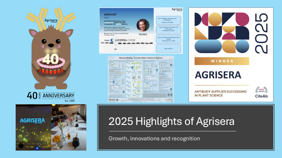 2025 Highlights of Agrisera Antibodies