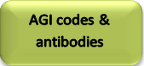 AGI codes and Agrisera antibodies