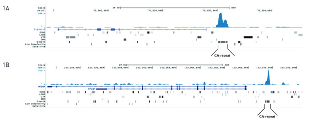 MeDIP-seq using monoclonal antibody against 5-mC