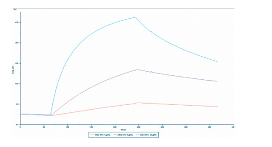 Surface plasmon resonance (SPR) with monoclonal antibody to 5-mC (5-methylcystosine)