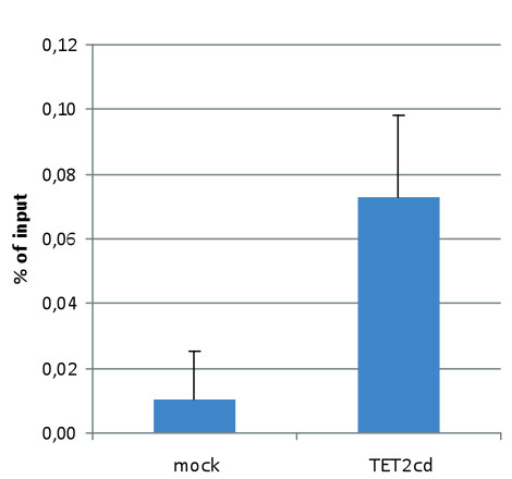 DIP using polyclonal anti-5-fC | 5-formylcytosine antibodies