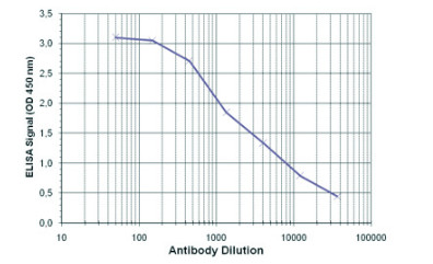 ELISA with polyclonal antibody anti-5-hmC