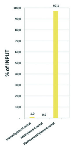 hMeDIP using polyclonal antibody