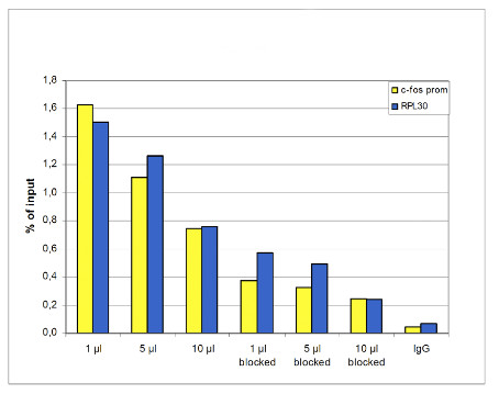 ChIP using anti-H3S10p | Histone H3 (p Ser10) (serum) antibodies