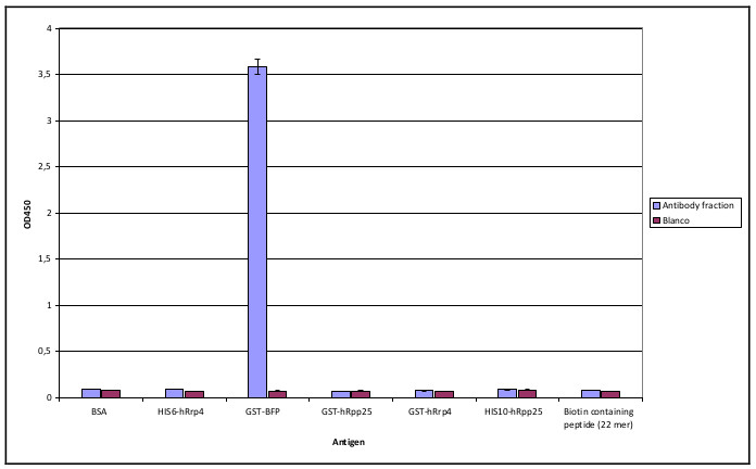 ELIA cross reactivity assesment of anti-BFP, GFP, YFP antibodies