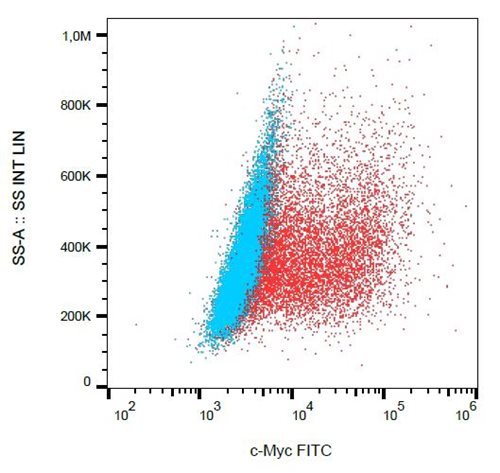 Flow cytometry analysis using anti-c-Myc, FITC conjugated mouse monoclonal antibodies