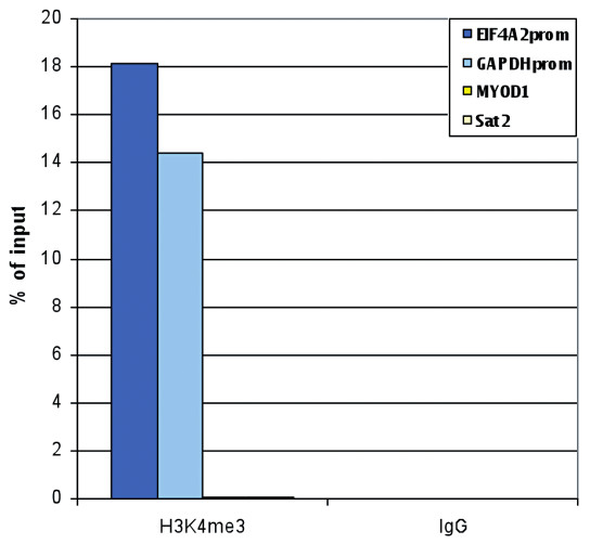 Chromatin immunoprecipitation using rabbit IgG negative control