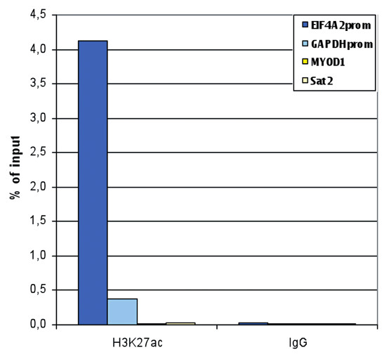 Chromatin immunoprecipiation using mouas IgG negative control