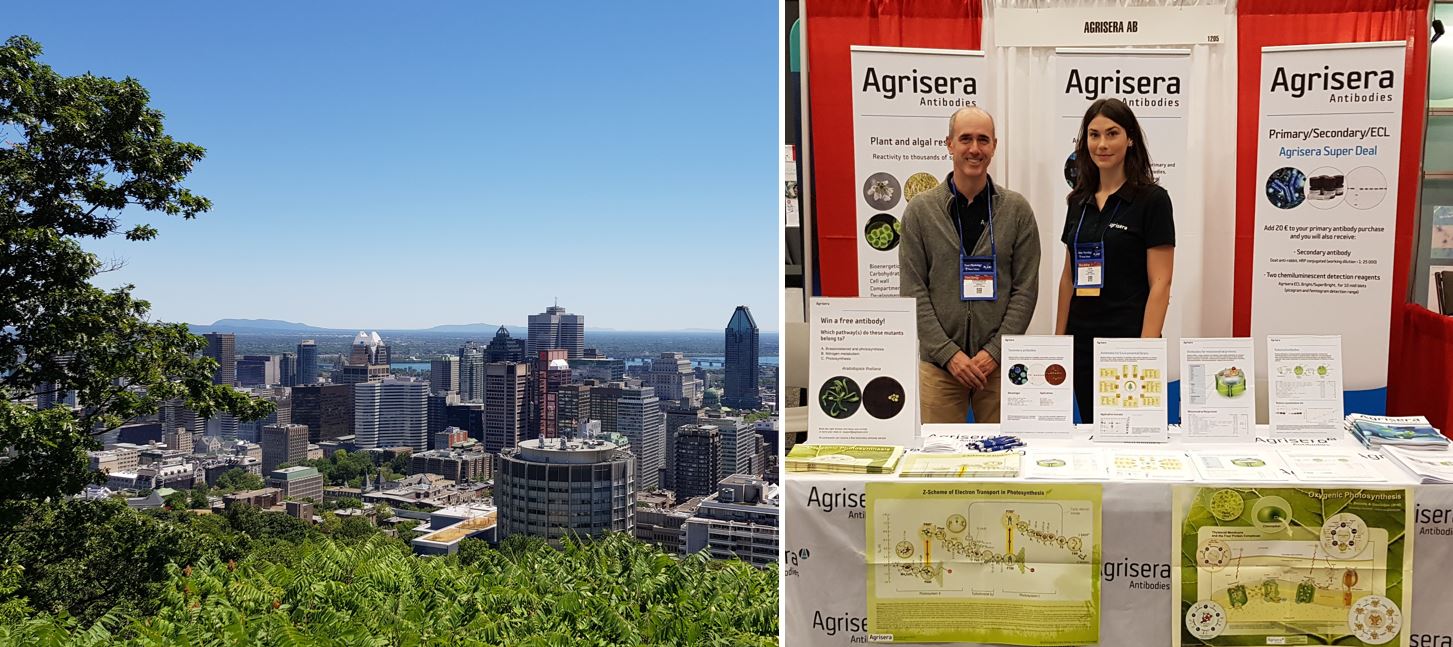 ASPB Plant meeting 2018