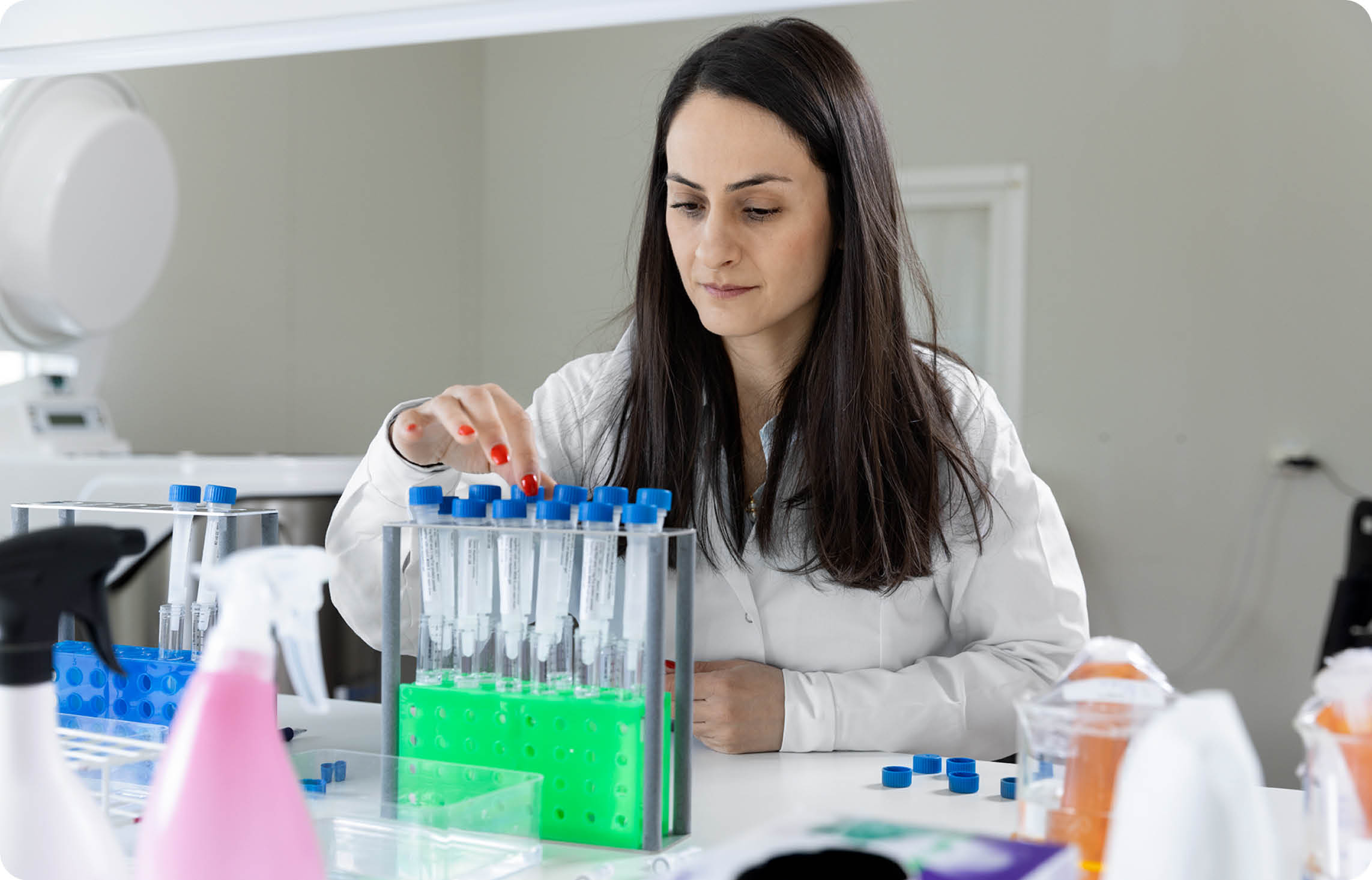 Person doing antibody purification at Agrisera