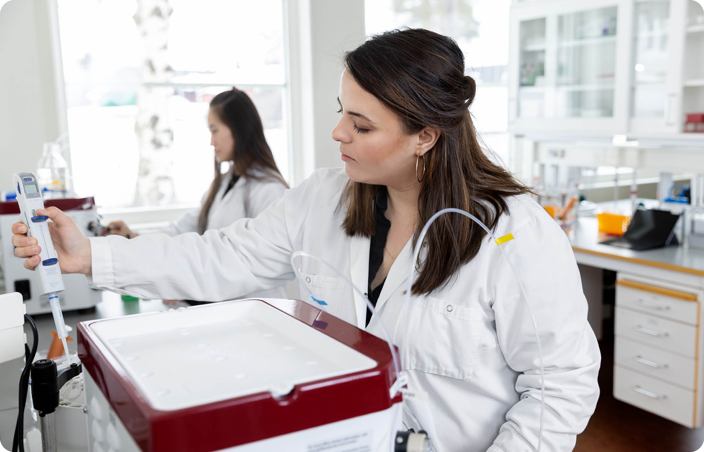 Person pipetting at Agrisera