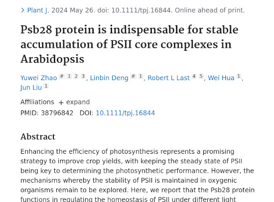Agrisera antibodies upport research on photosynthesis