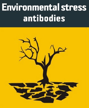 Agrisera Antibody Collection to Environmental Stress