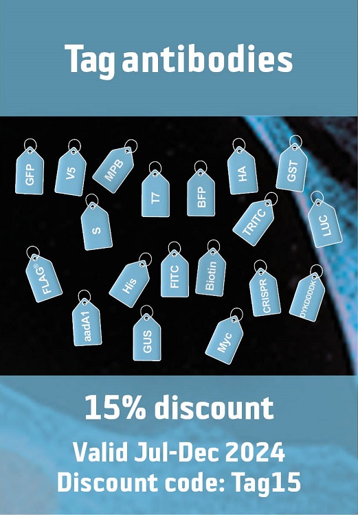 Agrisera epitope tag antibodies 15 % off