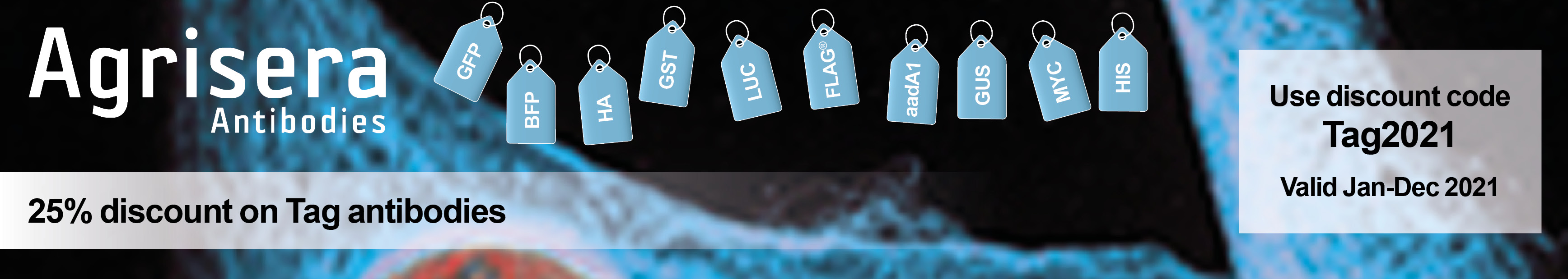 Agrisera epitope tag antibody promotion