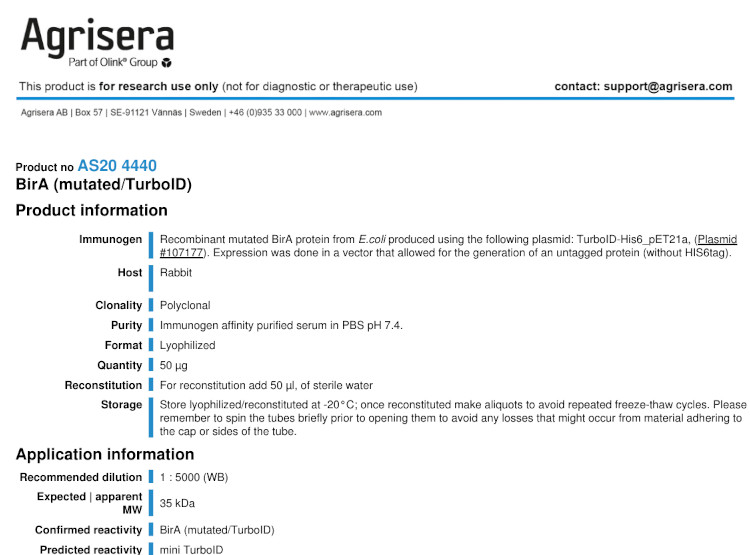 Agrisera anti-TurboID antibodies