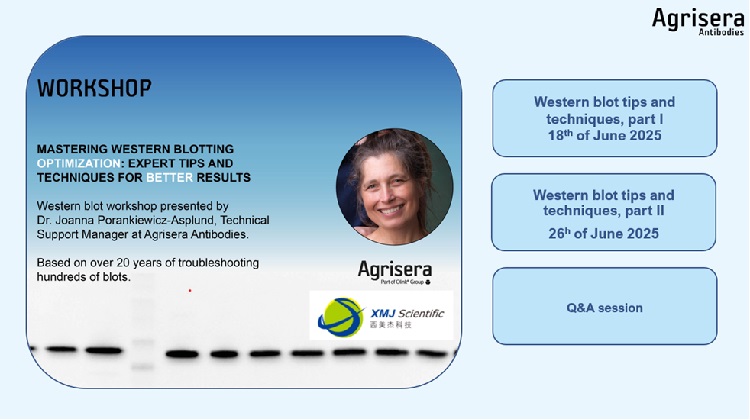 Agrisera Western blot workshop with XMJ