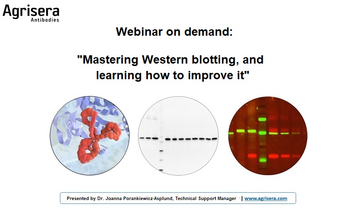 Webinar on demand