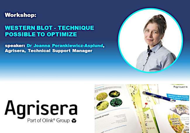 Agrisera Western Blot Workshop