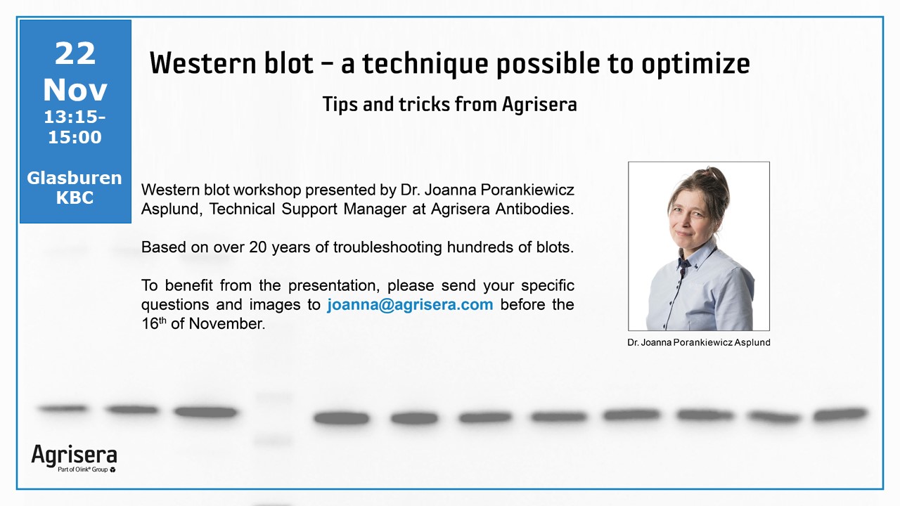 Agrisera Western blot workshop at KBC, Umeå University