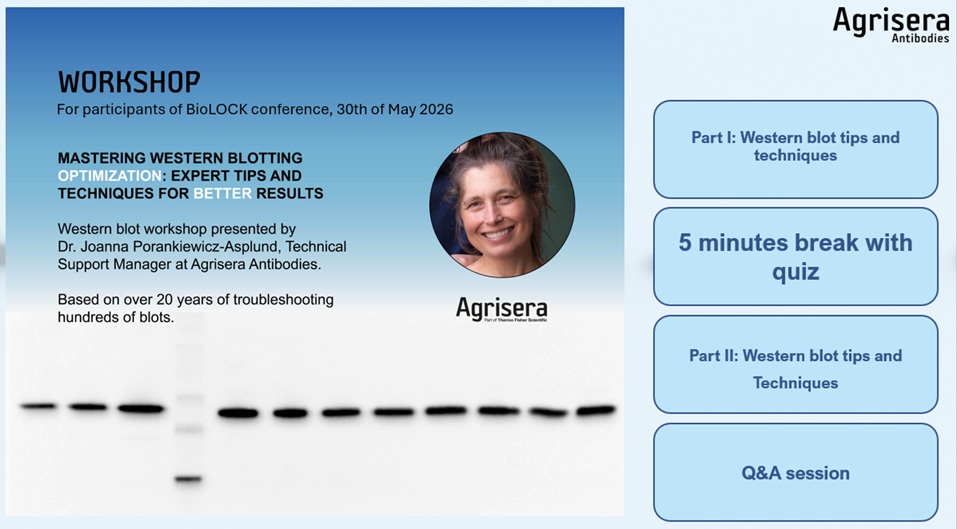 Agrisera Western blot workshop during BioLOCK conference in May 2026