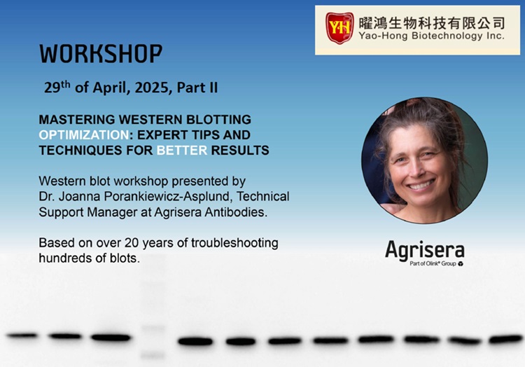 Agrisera Western blot workshop with Yao-Hong Biotechnology