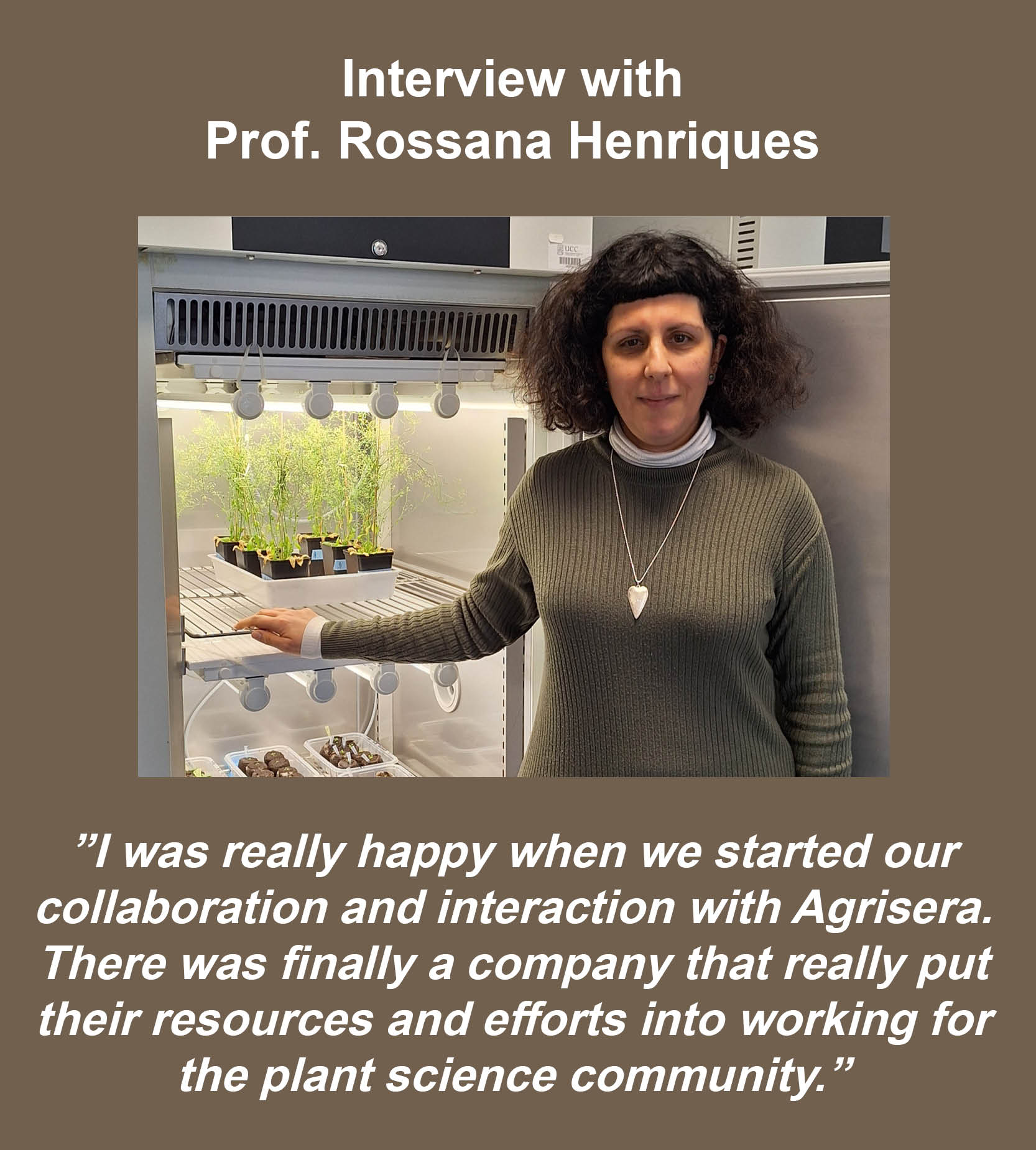 Prof. Rossana Henriques