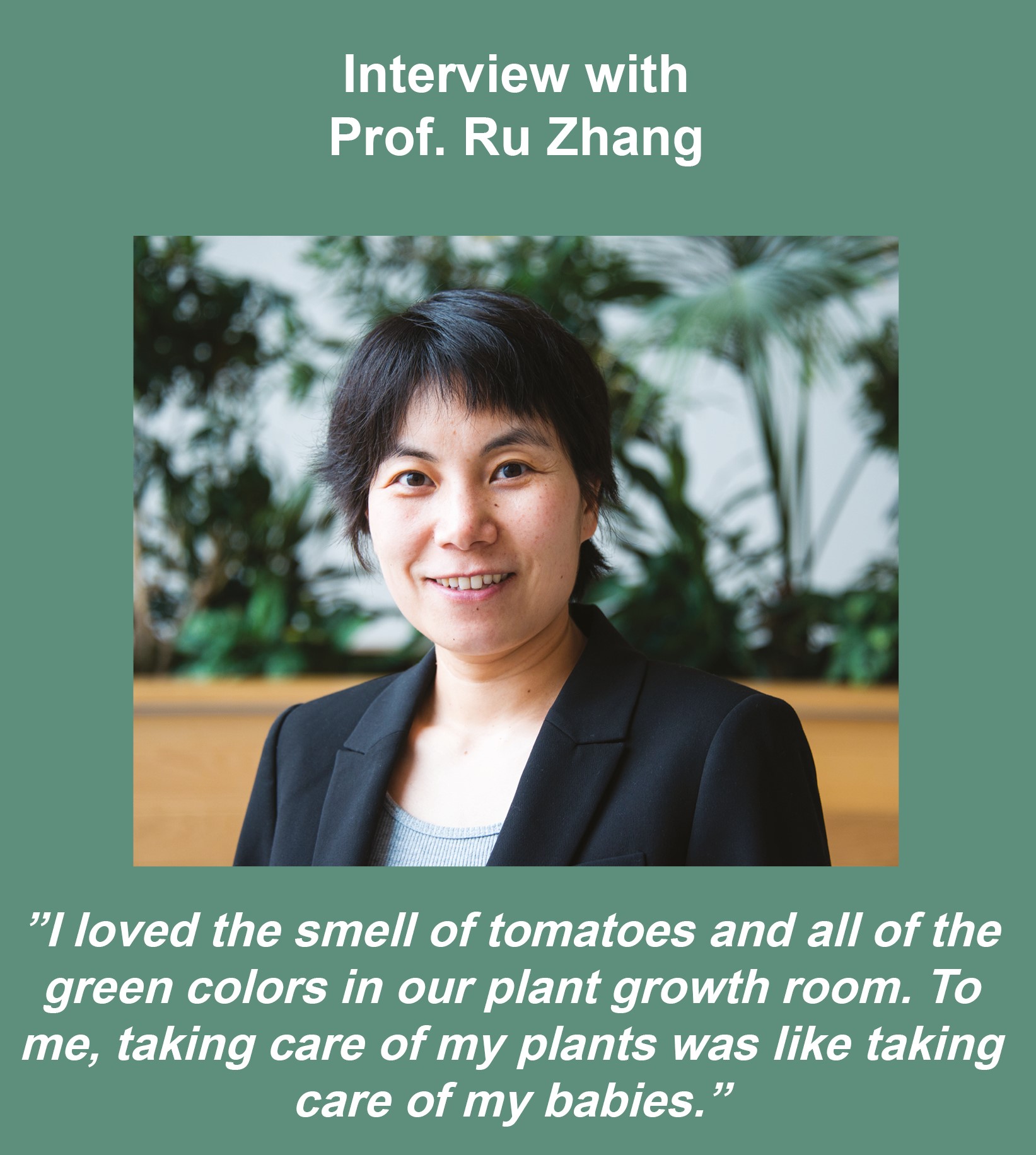 Prof. Ru Zhang