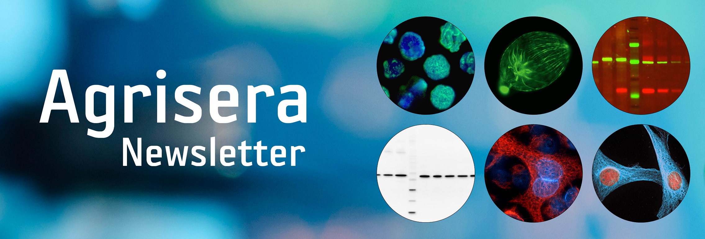 Agrisera newsletter