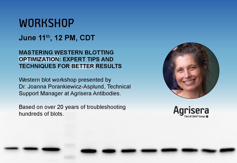 Agrisera online Western blot workshop for North America 11th of June 2024