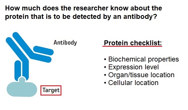 Protein Checklist before Western blot