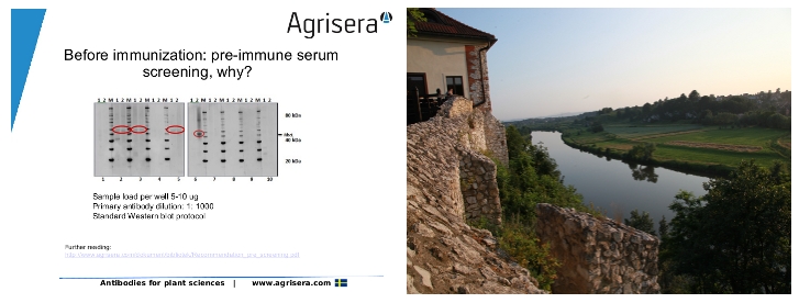 Agrisera Western blot seminars in Poalnd