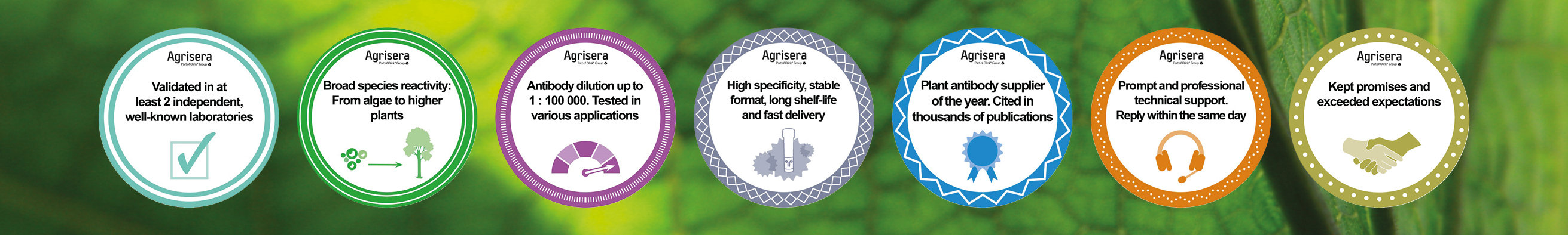 From finding the right antibody, to obtaining successful results