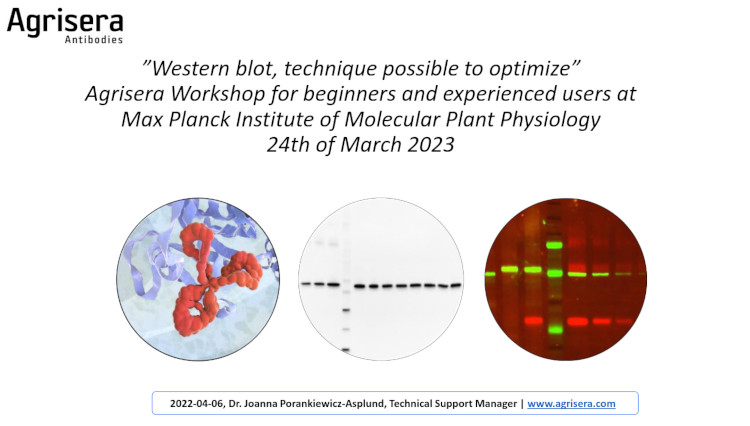 Agrisera Workshop at Max Planck, Germany